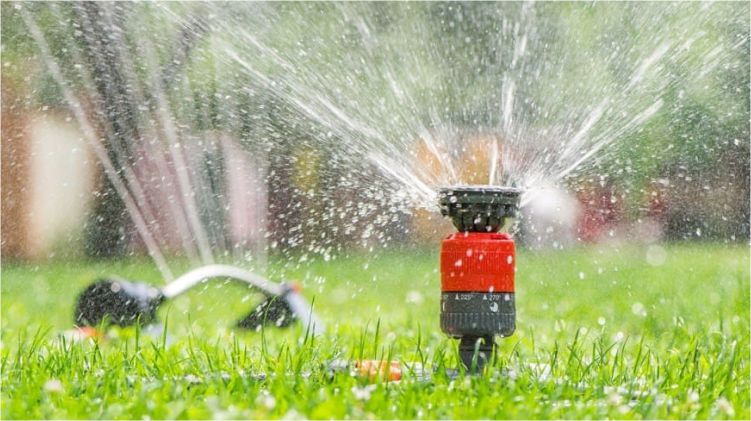 egarden irrigation system