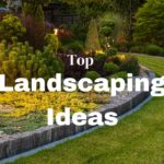 Top Landscaping Ideas 2025